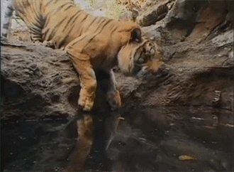 7f4d1200gw1em1ruwpmgag209606qx6p