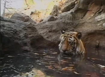 7f4d1200gw1em1ry1vnmgg209q075e81