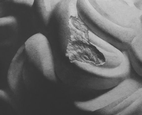 24b60cd7912397dd0f09d6435b82b2b7d1a28797