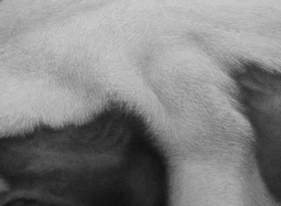 7b7d3a87e950352a64116b4f5143fbf2b3118b97