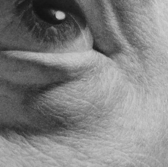 87d210385343fbf2145ce864b27eca8064388f97