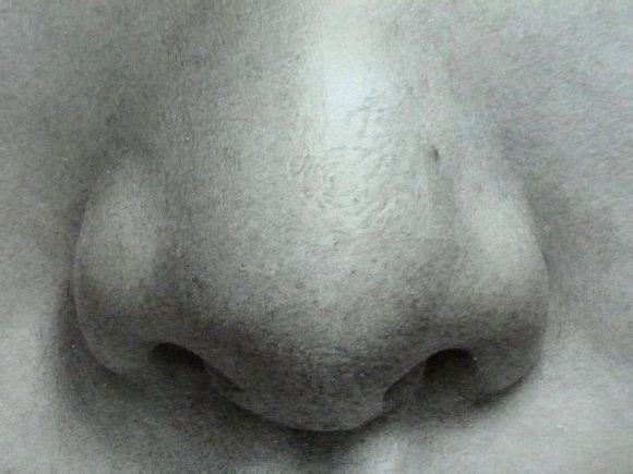 ba7cb2119313b07e63cd1e4f0ed7912396dd8c97