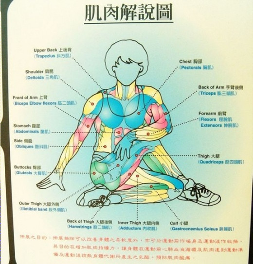 拉筋术！终于找到了，太实用了！珍藏了！ - 秋白 - 黑色物语