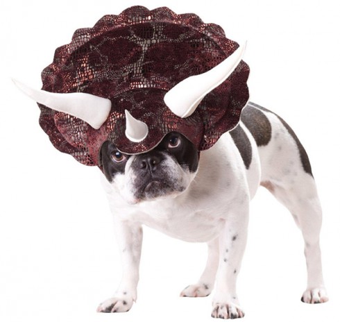 20150502-Triceratops-1