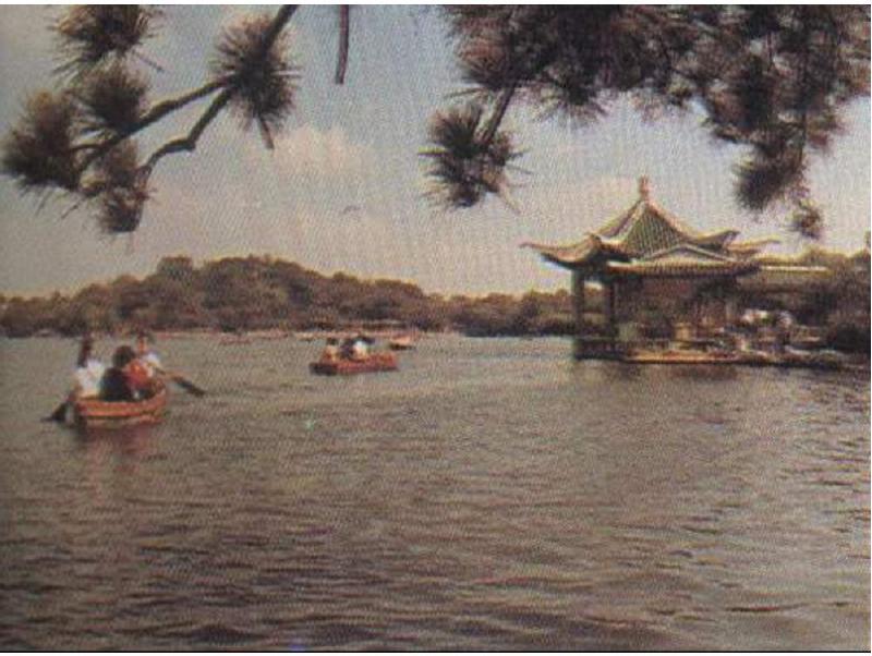 1958年建成的长风公园。